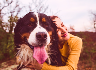 Girl hugging large Bernese Mountain Dog.