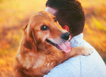 Golden retriever hugging its owner