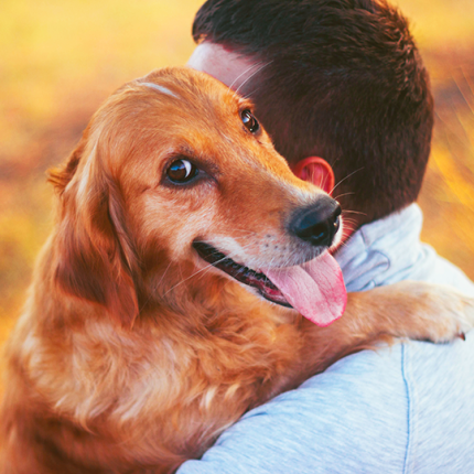 Golden retriever hugging its owner