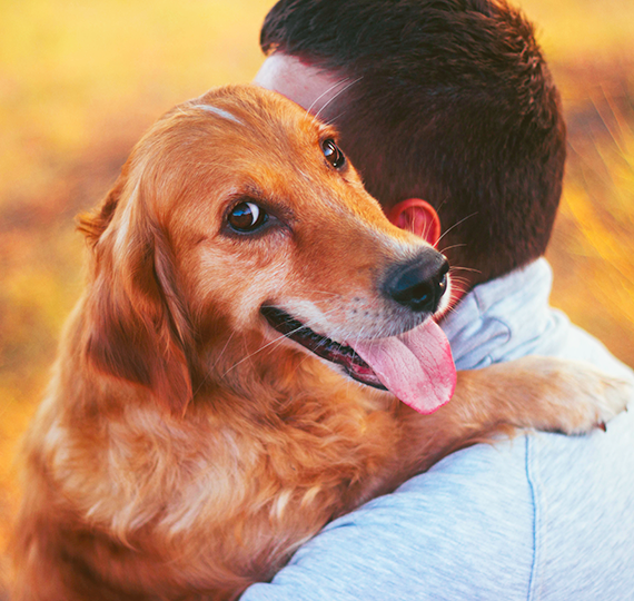 Golden retriever hugging its owner