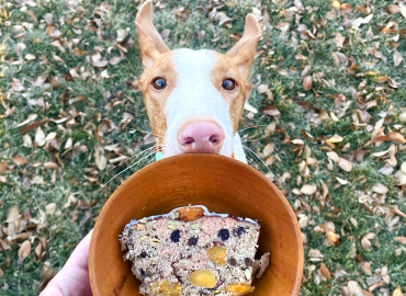 Meatloaf - Christmas Cake for Dogs - Raw Pet Food Recipe