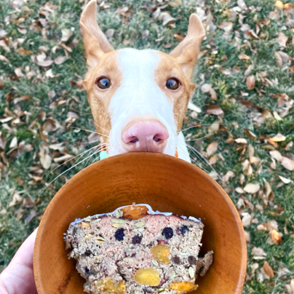 Meatloaf - Christmas Cake for Dogs - Raw Pet Food Recipe