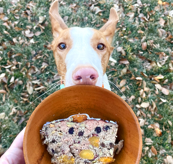 Meatloaf - Christmas Cake for Dogs - Raw Pet Food Recipe