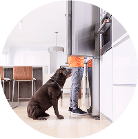 dog waiting on food by the fridge