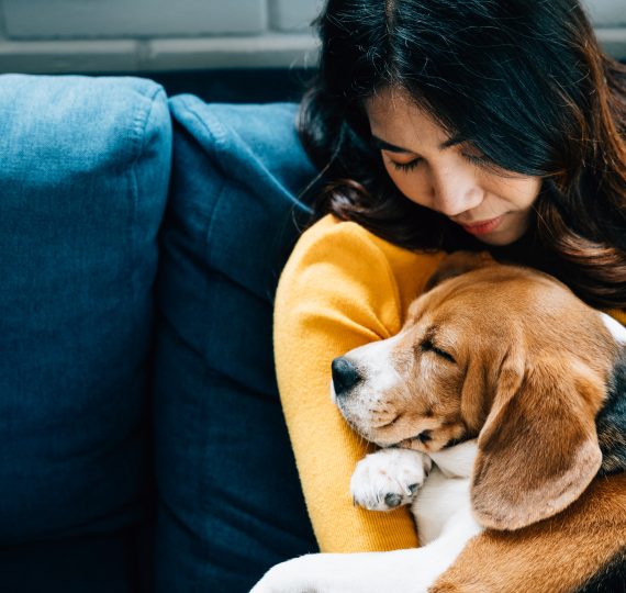 A young woman and her Beagle dog share a hug on a blue sofa.